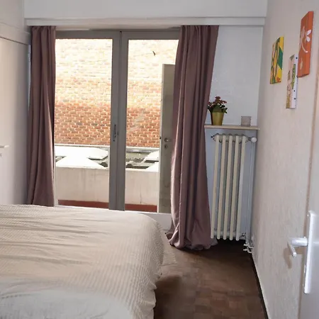 2br & 1lr Only 15 Mins To Gravensteen Castle * גנט
